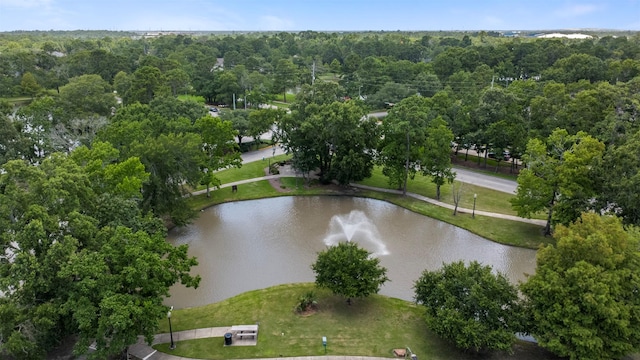 14510 Kings Head Dr, Houston, TX 77044 - aerial view of property and surrounding area with a large body of water