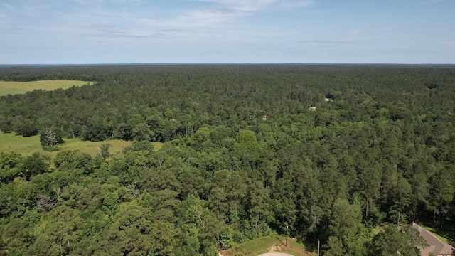 207 Sandpiper Dr, New Waverly, TX 77358