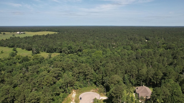207 Sandpiper Dr, New Waverly, TX 77358