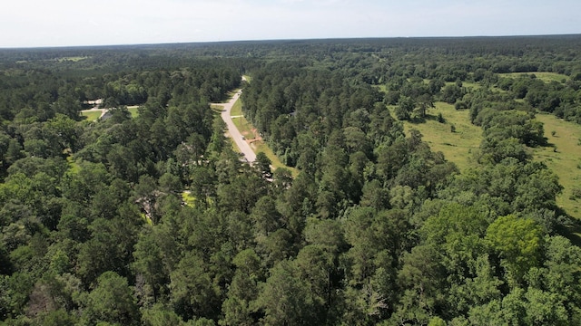 207 Sandpiper Dr, New Waverly, TX 77358