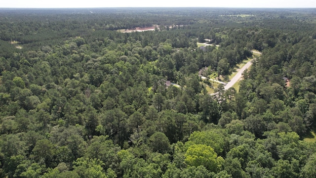 207 Sandpiper Dr, New Waverly, TX 77358