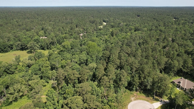 207 Sandpiper Dr, New Waverly, TX 77358
