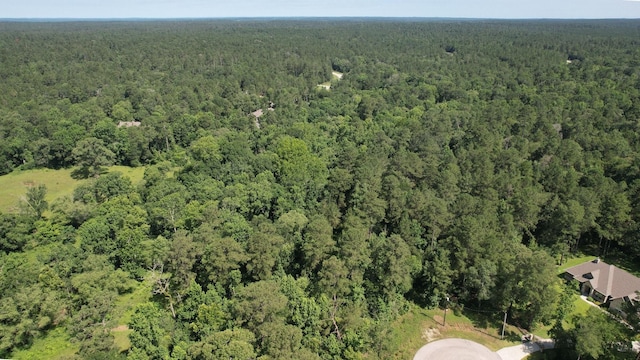 207 Sandpiper Dr, New Waverly, TX 77358