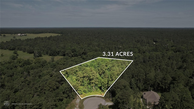 207 Sandpiper Dr, New Waverly, TX 77358