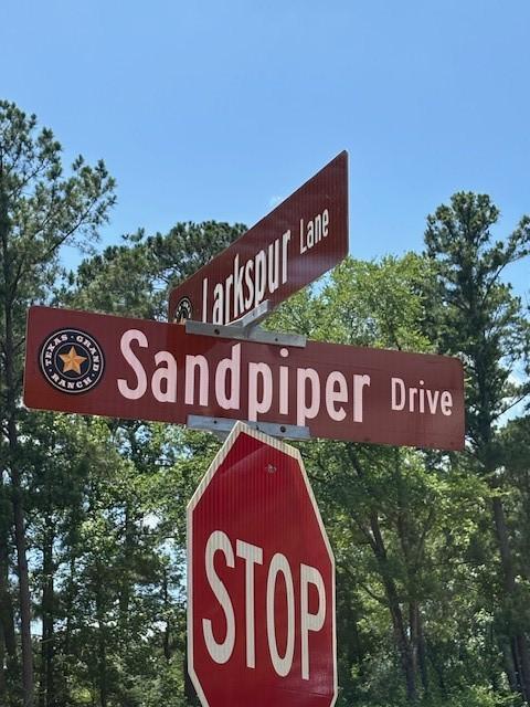 207 Sandpiper Dr, New Waverly, TX 77358