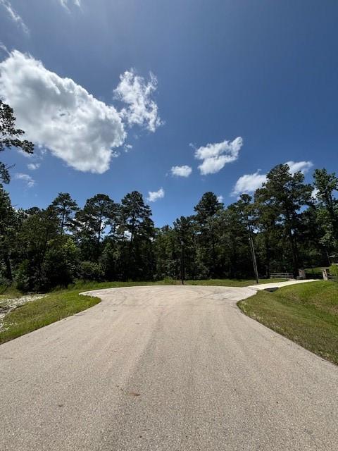 207 Sandpiper Dr, New Waverly, TX 77358