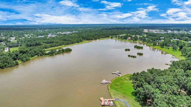 251 Lakeside Hills Dr, Montgomery, TX 77316 - photo 9