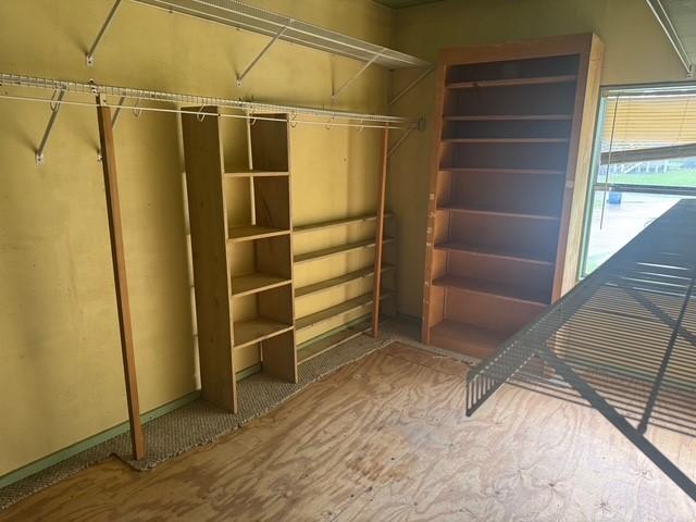 771 Governor Wood Dr, Point Blank, TX 77364 - view of walk in closet