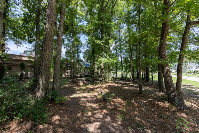 149 Westlake Pt, Montgomery, TX 77356