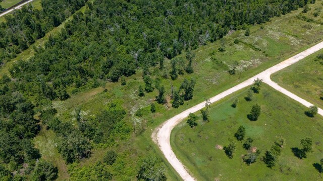 032 Falcon Pt, Onalaska, TX 77360 - photo 6