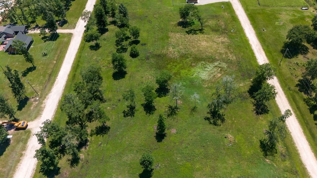 032 Falcon Pt, Onalaska, TX 77360 - photo 11