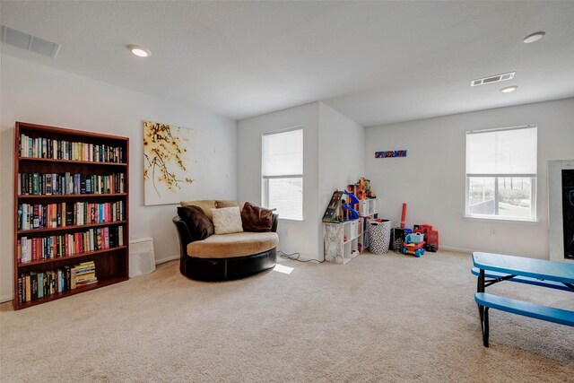 17811 Baleage Ln, Hockley, TX 77447 - photo 36