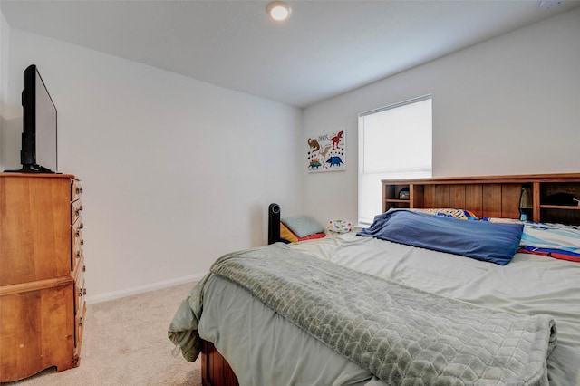 17811 Baleage Ln, Hockley, TX 77447 - photo 39