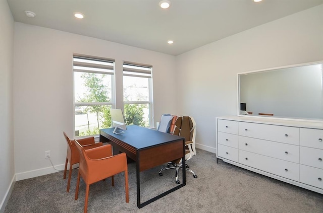 9522 Rialto Creek Dr, Cypress, TX 77433 - carpeted office space with recessed lighting