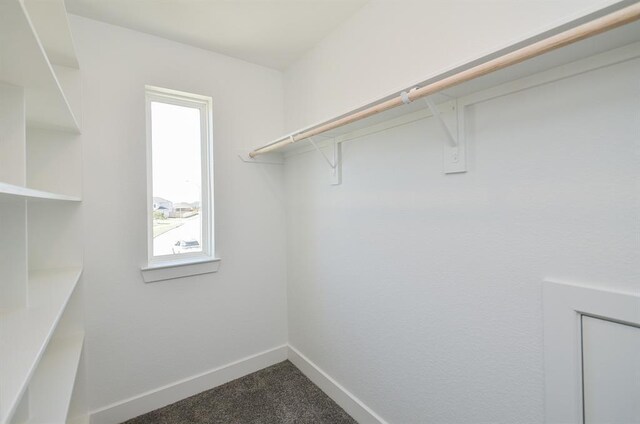 9522 Rialto Creek Dr, Cypress, TX 77433 - walk in closet with dark carpet