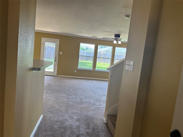 8131 Tassel Field Ln, Humble, TX 77338 - photo 4