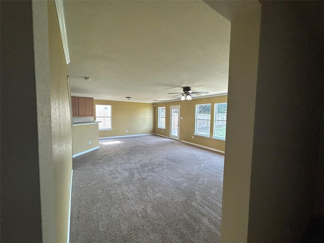 8131 Tassel Field Ln, Humble, TX 77338 - photo 8
