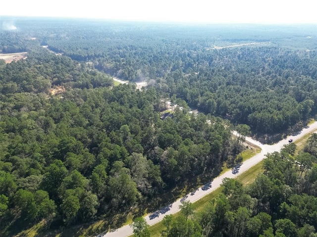 15806 Wood Grove Way, Willis, TX 77378