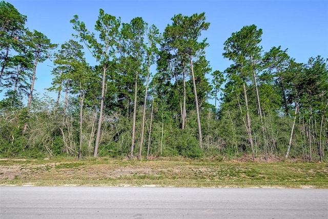 15806 Wood Grove Way, Willis, TX 77378