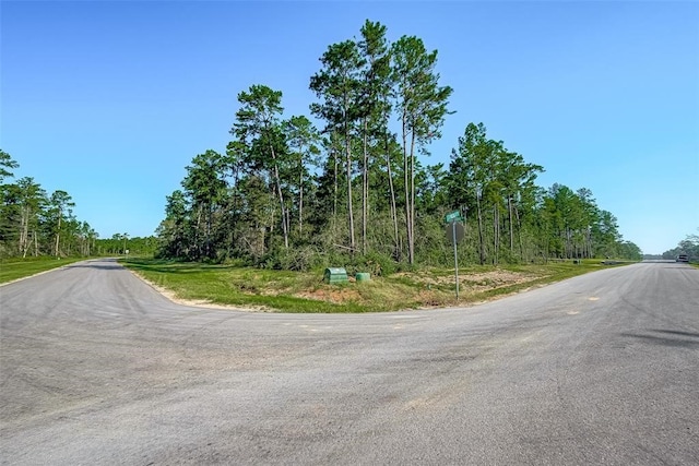 15806 Wood Grove Way, Willis, TX 77378