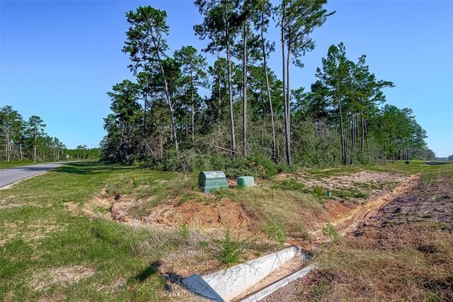 15806 Wood Grove Way, Willis, TX 77378
