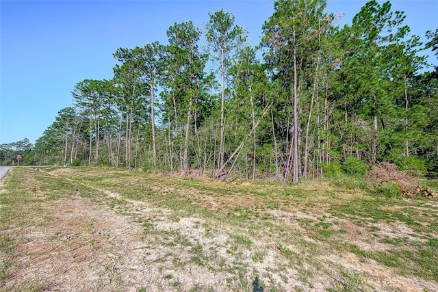 15806 Wood Grove Way, Willis, TX 77378