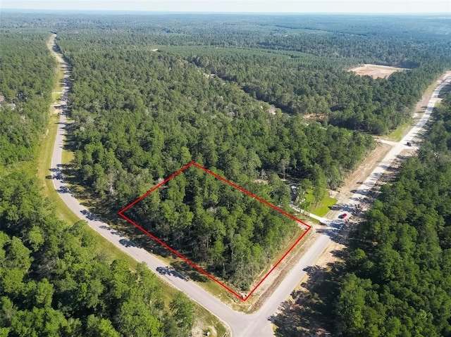15806 Wood Grove Way, Willis, TX 77378