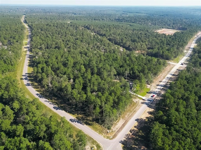 15806 Wood Grove Way, Willis, TX 77378