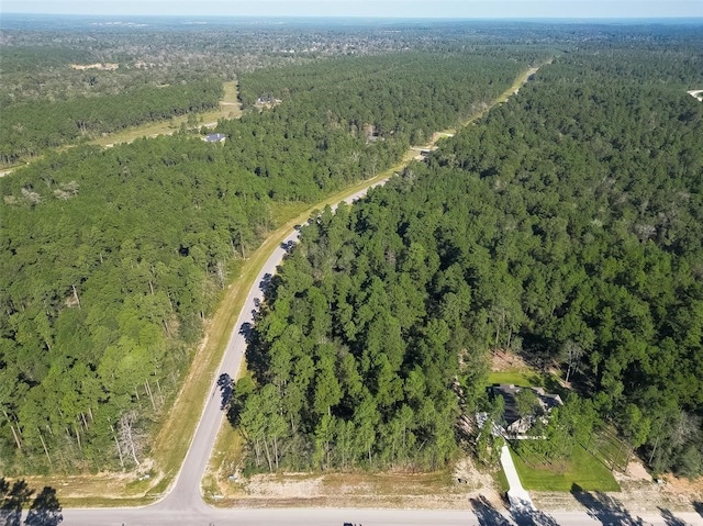 15806 Wood Grove Way, Willis, TX 77378