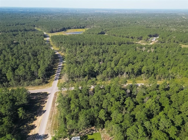 15806 Wood Grove Way, Willis, TX 77378