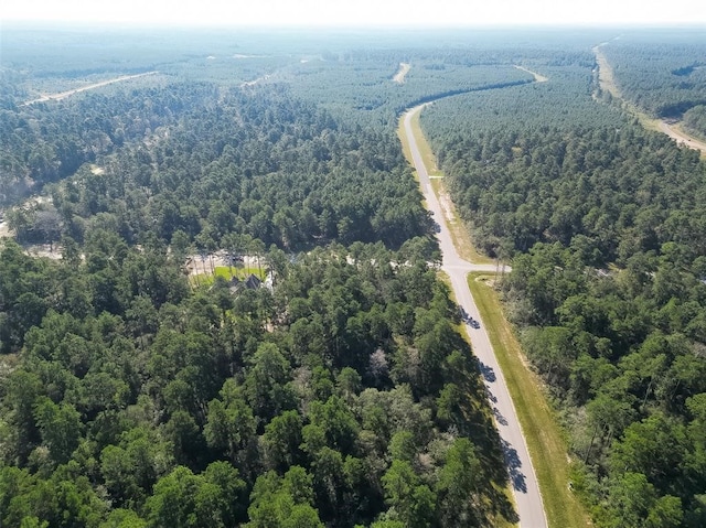 15806 Wood Grove Way, Willis, TX 77378