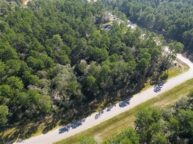 15806 Wood Grove Way, Willis, TX 77378