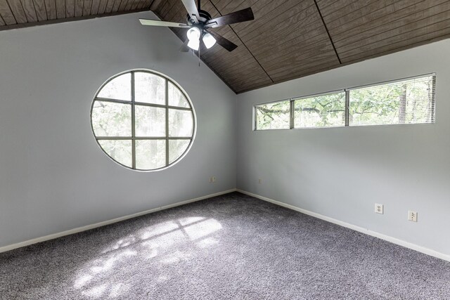 24509 Park Forrest Ln, Huntsville, TX 77320 - photo 11