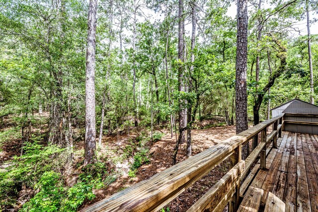 24509 Park Forrest Ln, Huntsville, TX 77320 - photo 32