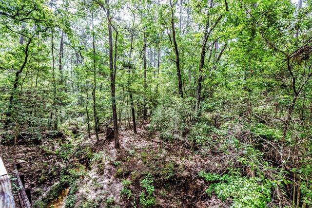 24509 Park Forrest Ln, Huntsville, TX 77320 - photo 33