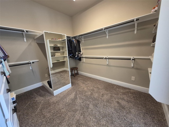 7106 Prairie Grass Ln, Katy, TX 77493 - spacious closet with carpet flooring