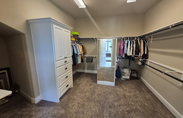 7106 Prairie Grass Ln, Katy, TX 77493 - spacious closet with dark carpet