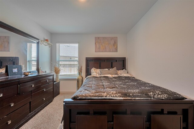 903 Curly Angora Ct, Rosharon, TX 77583 - view of carpeted bedroom