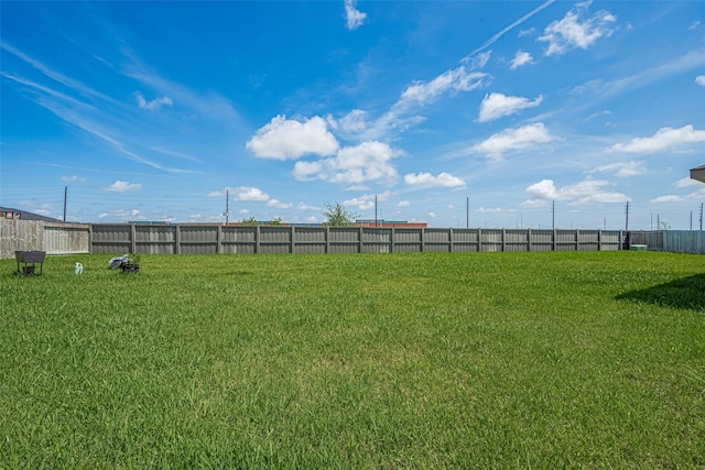 903 Curly Angora Ct, Rosharon, TX 77583 - view of yard