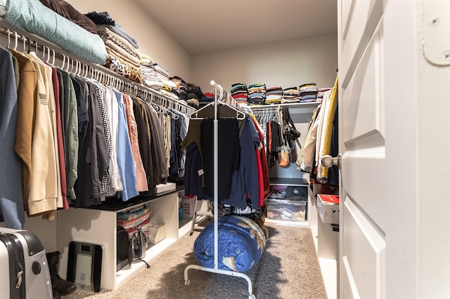 1614 Chase Anchor Ct, Richmond, TX 77469 - spacious closet featuring carpet flooring