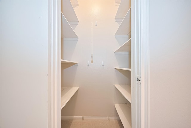 11711 Memorial Dr Unit 213, Houston, TX 77024 - view of storage area