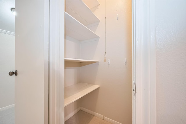 11711 Memorial Dr Unit 213, Houston, TX 77024 - view of closet