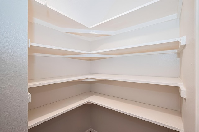 11711 Memorial Dr Unit 213, Houston, TX 77024 - view of pantry