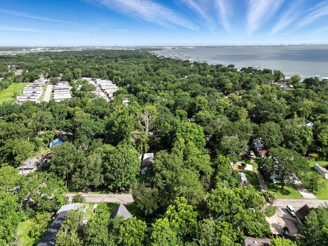 303 Texas Ave, Bacliff, TX 77518 - photo 31