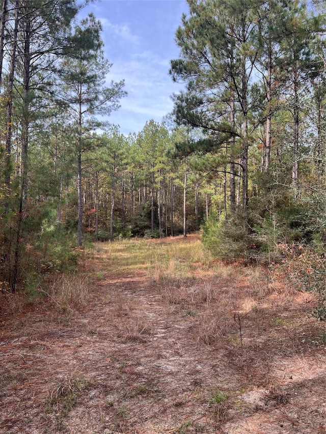 1432 Fm 1745 S, Chester, TX 75936