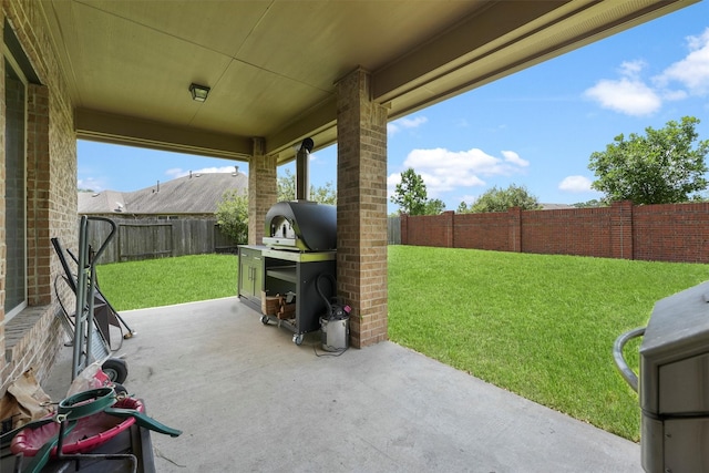24506 Rossmore Hill Ct, Spring, TX 77389 - fenced backyard with a patio and grilling area