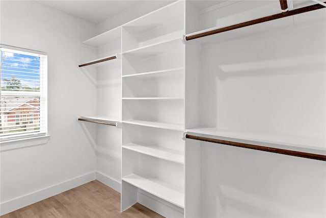 8136 Chateau St, Houston, TX 77028 - walk in closet with light wood-style floors