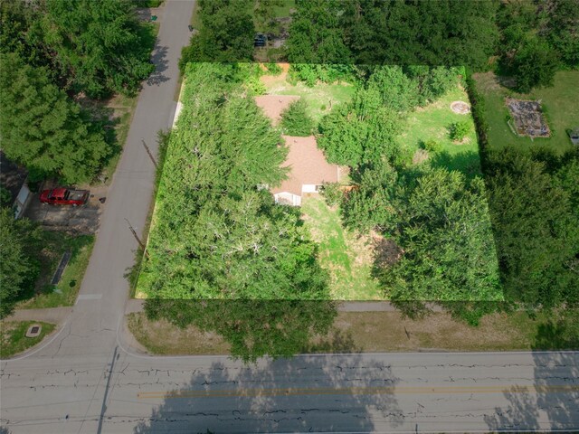 25723 Glen Loch Dr, Spring, TX 77380 - photo 5