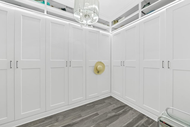 2810 Parkside Village Ln, Pearland, TX 77581 - walk in closet with a chandelier and dark wood finished floors