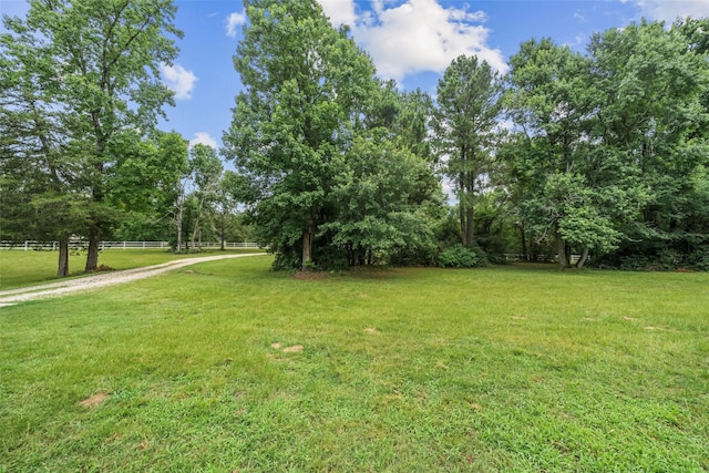 18443 Hills Lake Ct, Montgomery, TX 77316 - photo 9